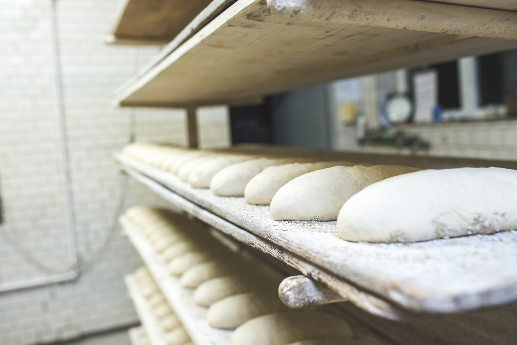 Majchrowski 17 - Rzemieślniczy chleb w pomorskim - tradycyjny i nowoczesny