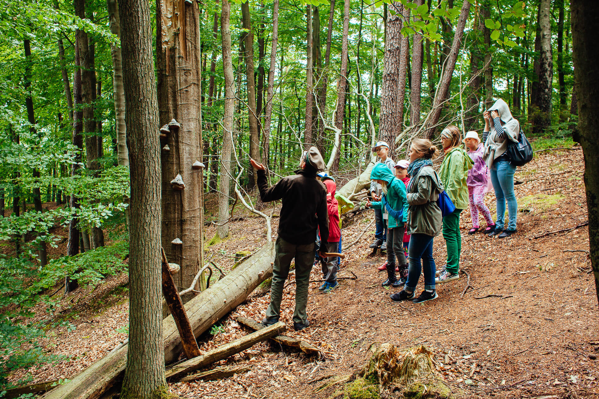 Marszewo sciezki przyrodnicze 5 - Pomorskie ścieżki przyrodnicze - spacer z edukacją dla dzieci i dorosłych